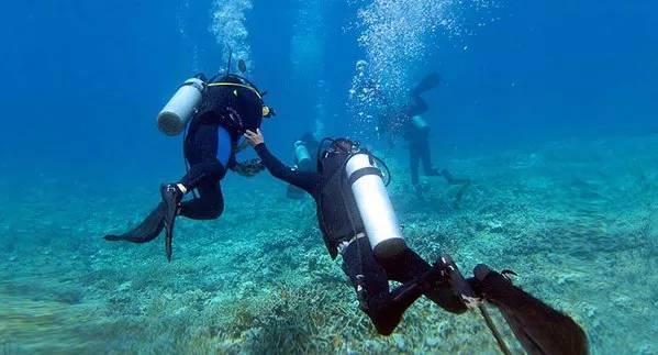 糖醋蒜怎么腌啊、里面到底放红糖好，还是白糖好？游戏画面