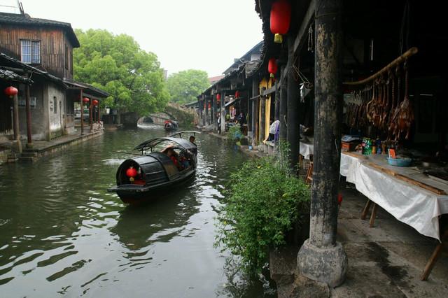 逃离白鸽之森